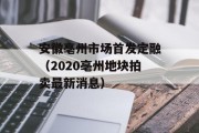 安徽亳州市场首发定融（2020亳州地块拍卖最新消息）