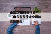 山东ZF控股债权资产（山东省发债企业风险监控报告）