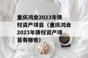 重庆鸿业2023年债权资产项目（重庆鸿业2023年债权资产项目有哪些）