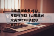 山东晟润水务2023年债权项目（山东晟润水务2023年债权项目开工）