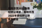 酉阳华茂2022年债权转让项目，酉阳华茂2022年债权转让项目有哪些