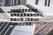 2023菏泽市定陶区圣陶农业发展债权转让定融计划（菏泽2023年拆迁计划表）