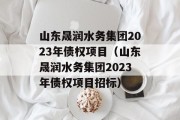 山东晟润水务集团2023年债权项目（山东晟润水务集团2023年债权项目招标）