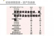 其他货币资金包括，其他货币资金包括哪些内容