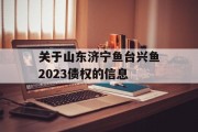 关于山东济宁鱼台兴鱼2023债权的信息