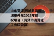 山东菏泽|鄄城县清源城市开发2023年债权项目（菏泽市清源化工有限公司）