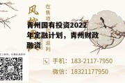 青州国有投资2022年定融计划，青州财政融资