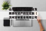 山东滨州市惠滨实业发展债权资产政信定融（滨州宝驰置业有限公司）