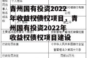 青州国有投资2022年收益权债权项目，青州国有投资2022年收益权债权项目建设