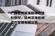 广西钦州滨海新城收益权债权，钦州滨海新城资产管理有限公司