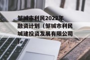 邹城市利民2022年融资计划（邹城市利民城建投资发展有限公司）