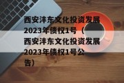 西安沣东文化投资发展2023年债权1号（西安沣东文化投资发展2023年债权1号公告）