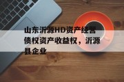 山东沂源HD资产经营债权资产收益权，沂源县企业