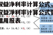 权益净利率计算公式，权益净利率计算公式管理用报表