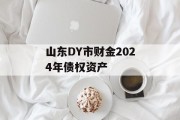 山东DY市财金2024年债权资产