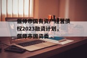 偃师市国有资产经营债权2023融资计划，偃师市国资委