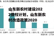 山东新农村建设2022债权计划，山东新农村改造政策2020