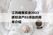 江苏睢展实业2023债权资产01项目的简单介绍