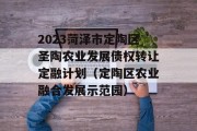 2023菏泽市定陶区圣陶农业发展债权转让定融计划（定陶区农业融合发展示范园）