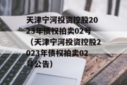 天津宁河投资控股2023年债权拍卖02号（天津宁河投资控股2023年债权拍卖02号公告）