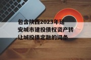 包含陕西2023年延安城市建投债权资产转让城投债定融的词条