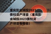 重庆彭水城投2023债权资产项目（重庆彭水城投2023债权资产项目有哪些）