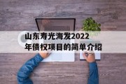 山东寿光海发2022年债权项目的简单介绍