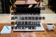 山东阳信县城市建设投资集团2023年债权资产（山东阳信县城市建设投资集团2023年债权资产规模）