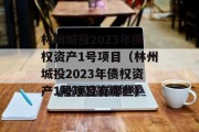 林州城投2023年债权资产1号项目（林州城投2023年债权资产1号项目有哪些）