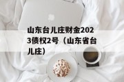 山东台儿庄财金2023债权2号（山东省台儿庄）