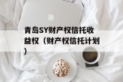 青岛SY财产权信托收益权（财产权信托计划）