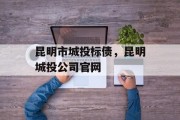 昆明市城投标债，昆明城投公司官网