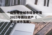 山东枣庄城市综合开发2023年债权资产（枣庄城市发展）