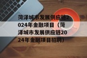 菏泽城市发展供应链2024年金融项目（菏泽城市发展供应链2024年金融项目招聘）