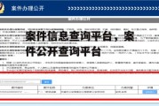 案件信息查询平台，案件公开查询平台