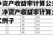 净资产收益率计算公式，净资产收益率计算公式例子