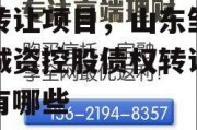 山东邹城市城资控股债权转让项目，山东邹城市城资控股债权转让项目有哪些