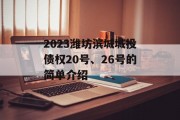 2023潍坊滨城城投债权20号、26号的简单介绍