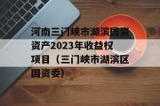 河南三门峡市湖滨国资资产2023年收益权项目（三门峡市湖滨区国资委）