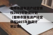 偃师市国有资产经营债权2023年融资计划（偃师市国有资产经营债权2023年融资计划公告）