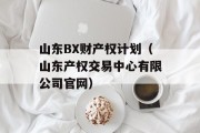 山东BX财产权计划（山东产权交易中心有限公司官网）