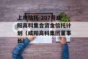 上市信托-207号咸阳高科集合资金信托计划（咸阳高科集团董事长）