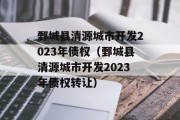 鄄城县清源城市开发2023年债权（鄄城县清源城市开发2023年债权转让）