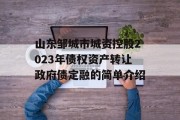 山东邹城市城资控股2023年债权资产转让政府债定融的简单介绍