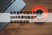 山东金乡城建投资运营2024年债权融资产品城投债定融