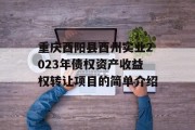 重庆酉阳县酉州实业2023年债权资产收益权转让项目的简单介绍