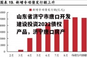 山东省济宁市唐口开发建设投资2022债权产品，济宁唐口房产