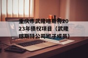 重庆市武隆喀斯特2023年债权项目（武隆喀斯特公司班子成员）