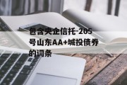 包含央企信托-205号山东AA+城投债券的词条