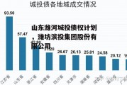 山东潍河城投债权计划，潍坊滨投集团股份有限公司